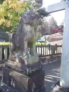 沙沙貴神社の狛犬