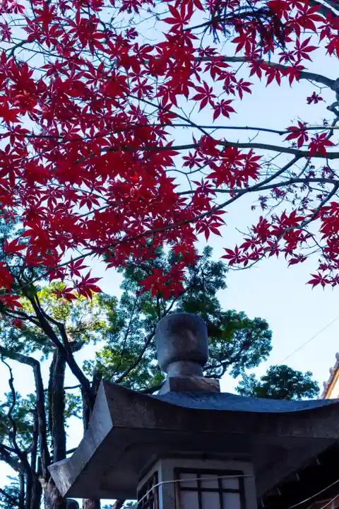 冨士山稲荷神社(長野県)