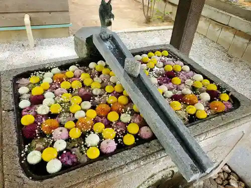 上野総社神社(群馬県)