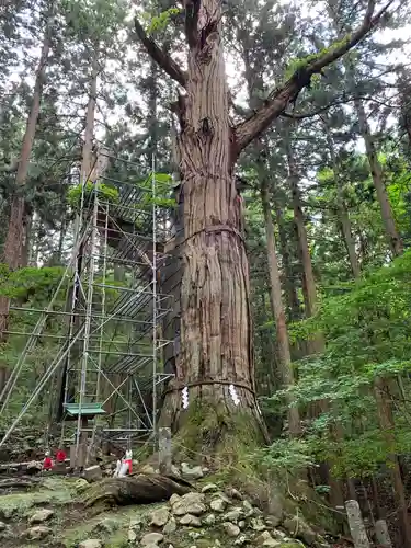 志和稲荷神社のその他建物