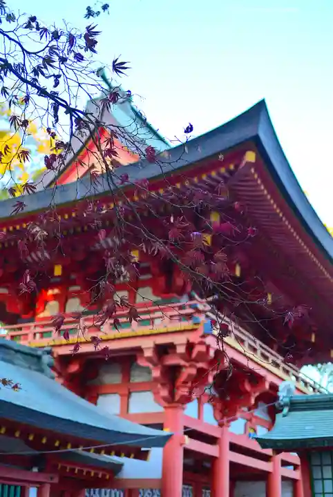 武蔵一宮氷川神社(埼玉県)