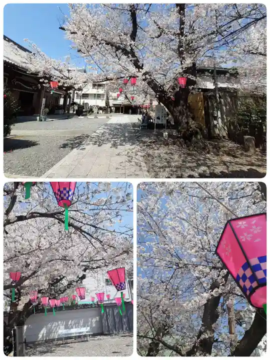 釋迦院(釈迦院)(大阪府)