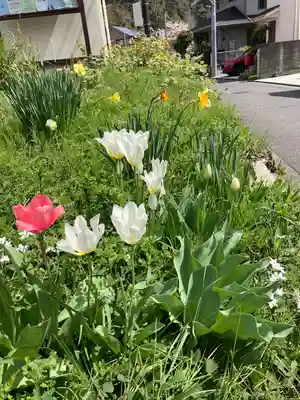 光触寺(神奈川県)