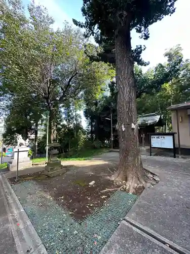 熊野神社(東京都)