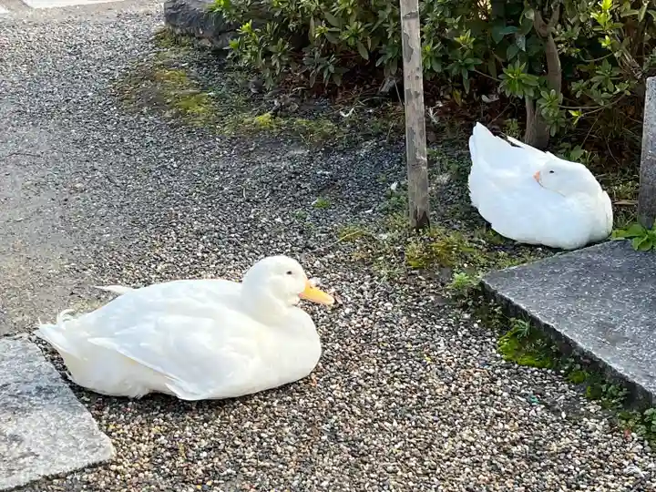 神泉苑(京都府)