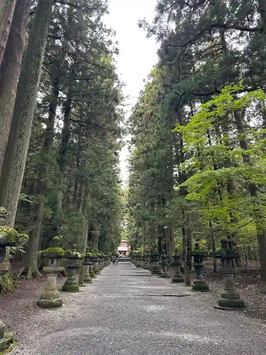 北口本宮冨士浅間神社(山梨県)