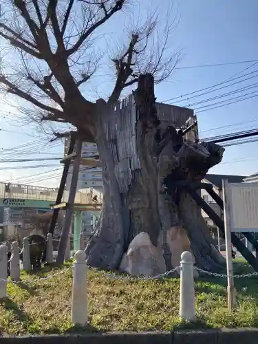 国分寺（相模國分寺）(神奈川県)