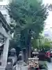 日本橋日枝神社の自然