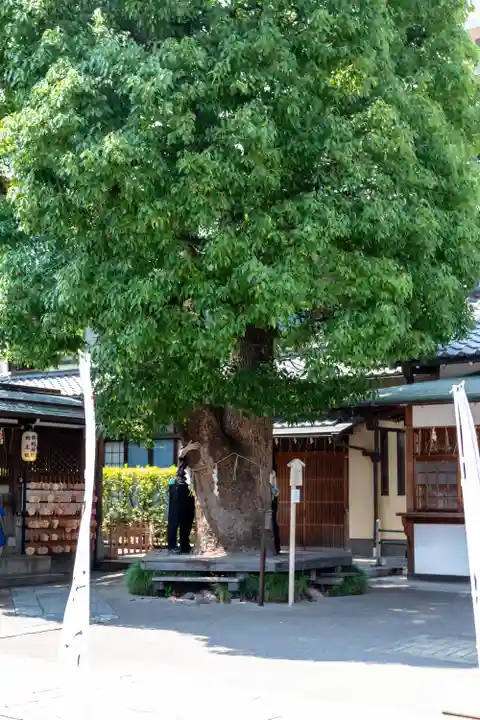 晴明神社(京都府)