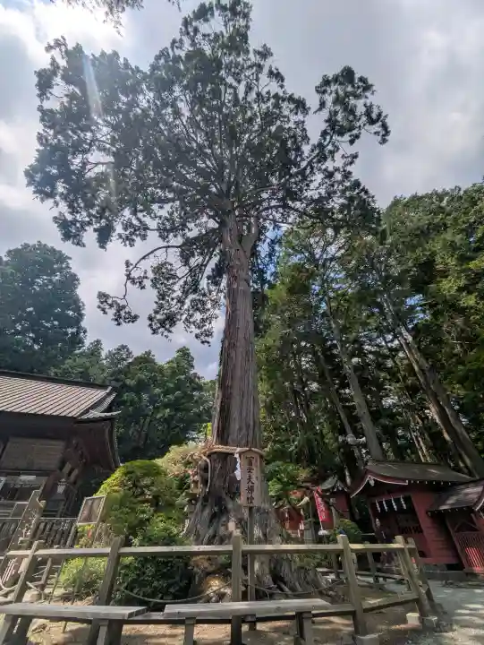 北口本宮冨士浅間神社(山梨県)