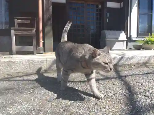 地泉院(愛知県)