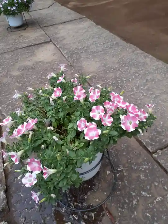 伏木香取神社の自然