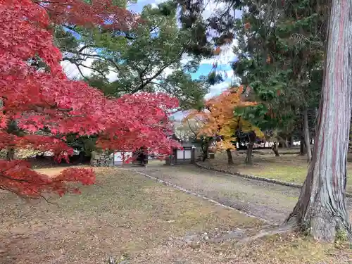 園城寺（三井寺）(滋賀県)