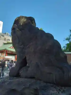 浅草神社の狛犬