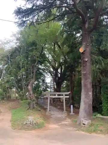 七社神社の鳥居