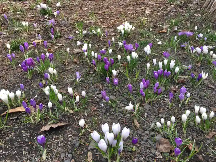 錦山天満宮の自然