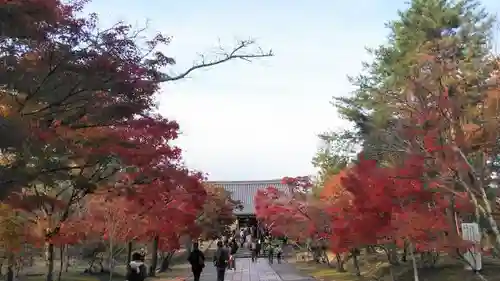 仁和寺のその他建物