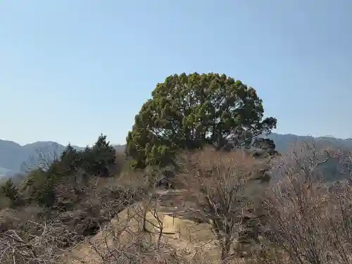 サムハラ神社 奥の宮の自然