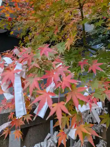 朝日神社(東京都)