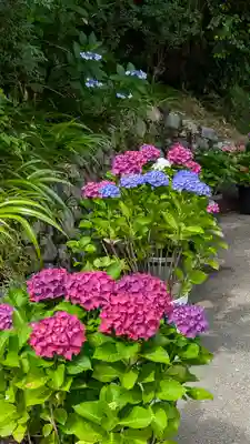 善峯寺(京都府)