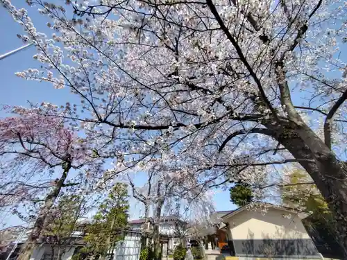 諏訪神社(宮城県)