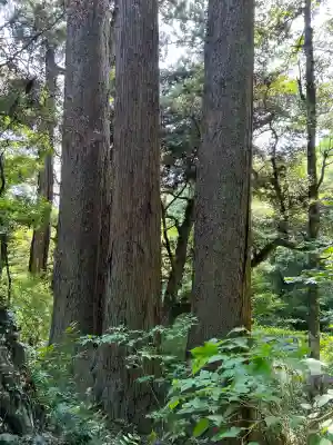 笠森寺(千葉県)