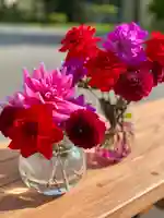 伊達神社の自然