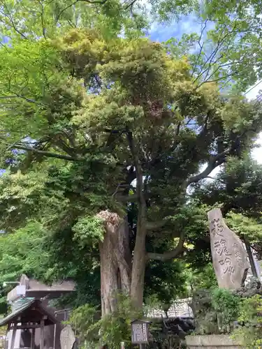 菅原神社(神奈川県)