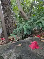 中津瀬神社の自然