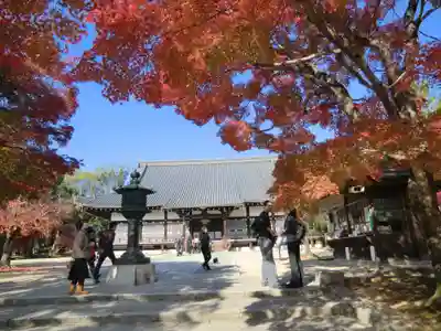仁和寺(京都府)