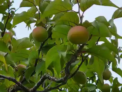 防府天満宮(山口県)