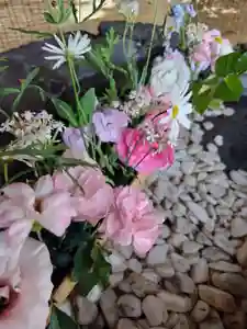 厚別神社(北海道)(2023年06月19日(月) 09時21分24秒投稿)