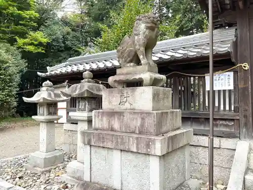 若宮神社の狛犬