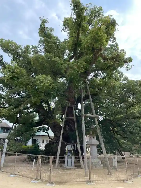 善通寺(香川県)