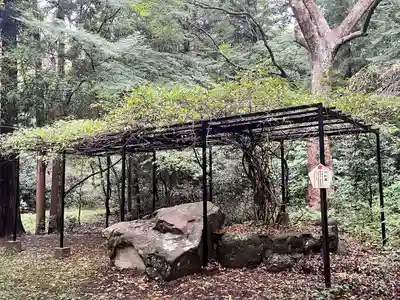 大麻比古神社(徳島県)