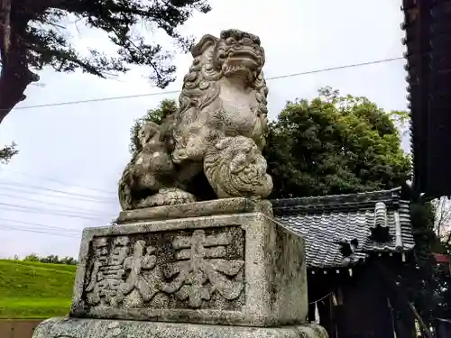 酒井神社の狛犬