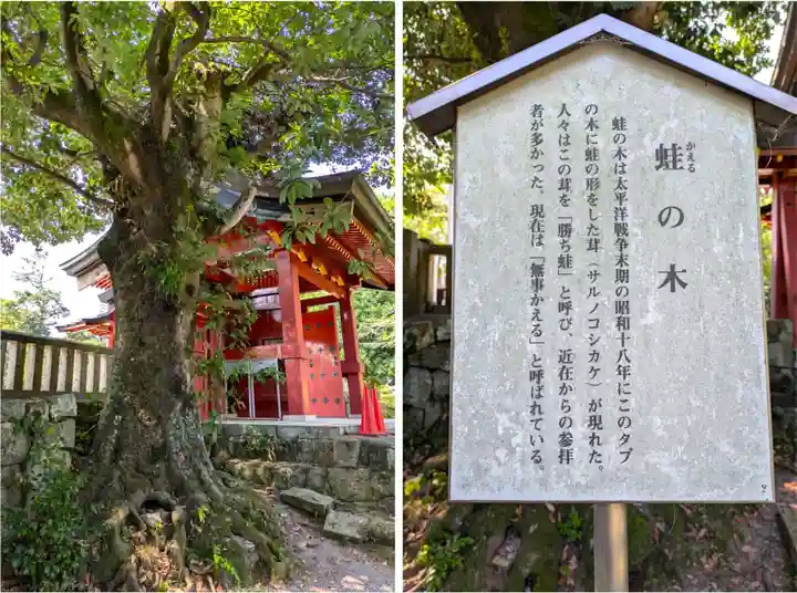一之宮貫前神社(群馬県)