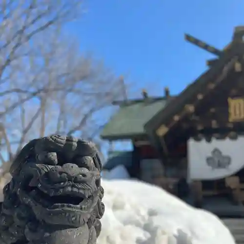 札幌諏訪神社の狛犬