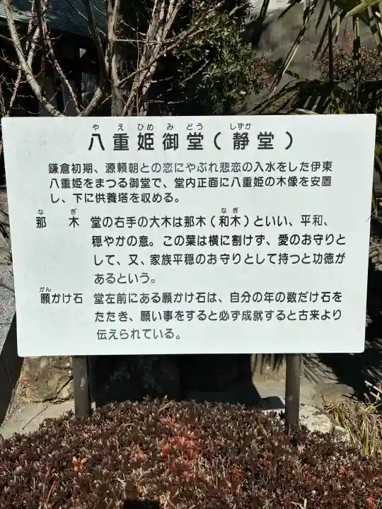 眞珠院の{uncategorized: "未分類", other: "その他", undefined: "問題あり", building: "その他建物", grave: "お墓", sacred_gate: "鳥居", guardian: "狛犬", statue: "像", buddha: "仏像", history: "歴史", nature: "自然", garden: "庭園", animal: "動物", pagoda: "塔", temizu: "手水舎", mountain_gate: "山門・神門", sanctuary: "本殿・本堂", subordinate: "末社・摂社", art: "芸術", scenery: "景色", jizo: "地蔵", ema: "絵馬", goshuin: "御朱印", omikuji: "おみくじ", items: "授与品その他", amulet: "お守り", goshuincho: "御朱印帳", eats: "食事", festival: "お祭り", votive_dance: "神楽", shichigosan: "七五三参", wedding: "結婚式", experience: "体験その他", initially: "初詣", around: "周辺", anti_infection: "感染症対策"}