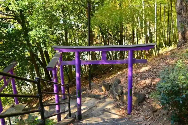 足利織姫神社(栃木県)