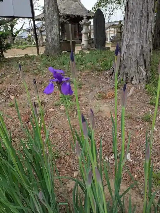 伏木香取神社(茨城県)