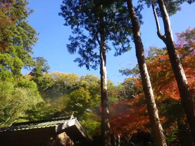 覚園寺の自然