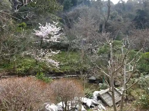 光則寺の庭園