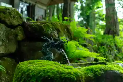 戸隠神社火之御子社(長野県)