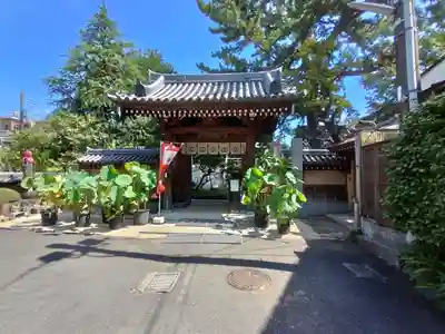 玄国寺(東京都)