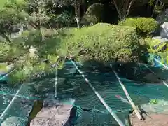 飽波神社(静岡県)