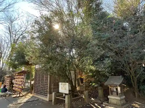 日枝神社水天宮(東京都)