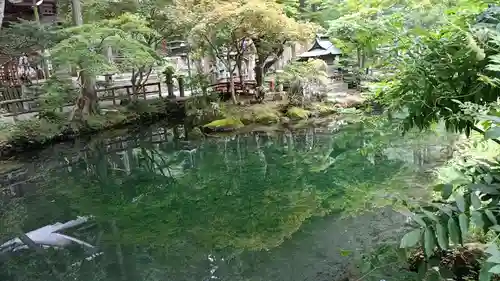 横山不動尊の庭園