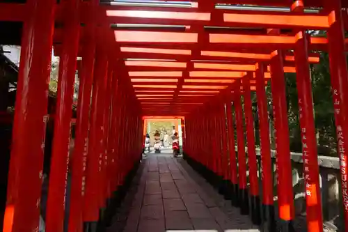 三光稲荷神社の鳥居