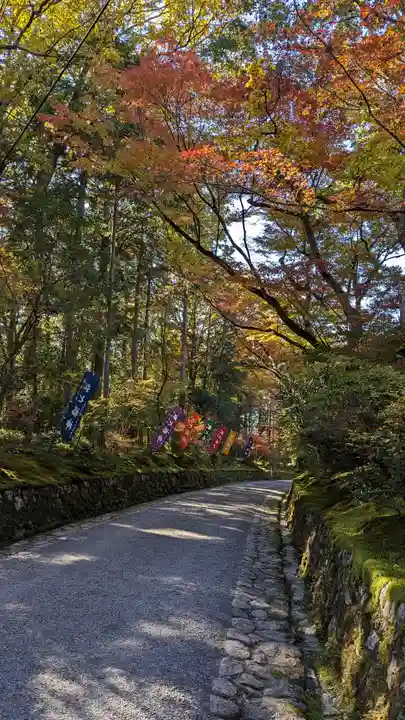 赤山禅院(京都府)